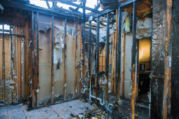 Professional Fire Damage Removal technician working in Muttontown, NY